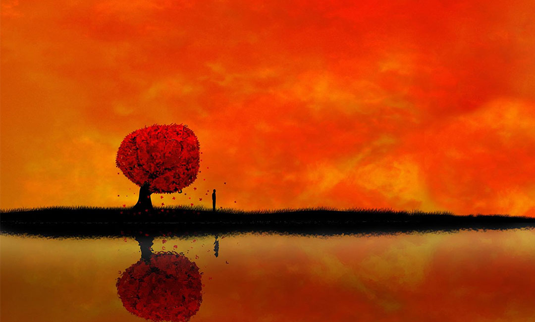 黄冈笙影微信朋友圈转发案例